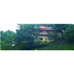 Brahmaputra Jungle Resort - Tapesia - Guwahati
