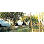 Camp Tusker - Ganga Bhogpur - Haridwar