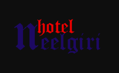 Hotel Nilgiris - Link Road - Ludhiana