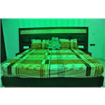 Waris Guest House - Sector 30 - Noida