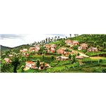 United 21 Paradise - Woodbrook - Ooty