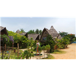 Auro Ba Cottage - Kottakuppam - Puducherry