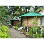 Palm Grove Eco Resort - Prothrapur - Port Blair
