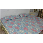 Tanuja Hotel - Badasirei - Puri