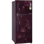 LG GLD302JSFL 285 L Double Door Refrigerator