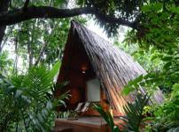 Maachli FarmStay - Vengurla - Sindhudurg