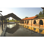 The Celebration Van Vilas - Tala Gate - Bandhavgarh