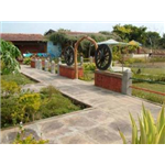 Taal Hill Resorts - Bandhavgarh National Park - Bandhavgarh