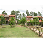 Mogli Jungle Resort - Tala - Bandhavgarh