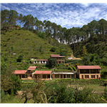 Woods Resort - Khatyari - Almora