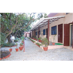 Corbett Motel - Telipura Road - Corbett