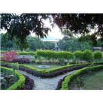 Corbett Wild Riverside Retreat & Jungle Lodge Resort - Dhikuli - Corbett