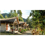 Hideaway River Lodge - Jamun - Corbett