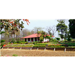 V Resorts Dhampur - Corbett