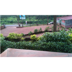 Hotel Siddhi Lodge - Ganpatipule