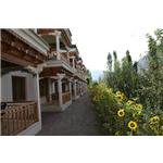 The Apricot Tree - Nurla - Leh