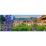 Nedous Hotel - Ski Institute Road - Gulmarg