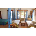 Birds View - Old Kasauli Road - Kasauli