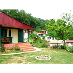 Blossom Resort - Chabbal - Kasauli