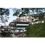 K K Trams - Jabli - Kasauli