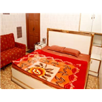 Kasauli Hotel Puri - Kasauli