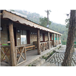 Nature Stay - Dochi Road - Kasauli