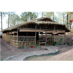 Sanawar Nature Camp - Dharampur - Kasauli