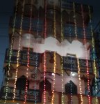 Vishnu Hotel - Mithapur - Patna