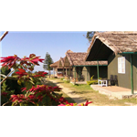 Adventure Camp Suryanelli - Chinnakanal - Munnar