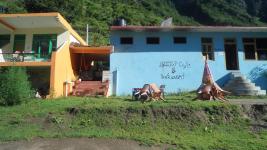 Hill Top Guest House & Restaurant - Parvati Valley - Kullu