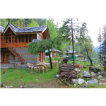 Latoda Hut & Pine Wood Home - Bhalagram - Kullu