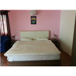 The Earth Lodge - Bahang - Kullu