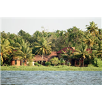 The Lily Pad Hotel - Pallichara Church Road - Kumarakom