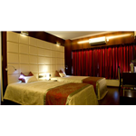 Yellow Tree - Bistupur - Jamshedpur