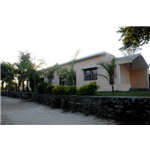 Resort Palm Pair - Dhunwadhar Road - Jabalpur