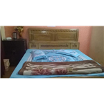 Sahil Hotel - Shastri Nagar - Meerut