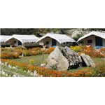 Kinner Camp - Sangla - Kinnaur