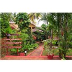 Palm Ayurvedic Beach Resort - Helipad - Varkala