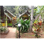 The Sea Factor Beach Resort - North Cliff - Varkala