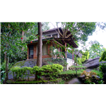 Edakkal Hermitage - Wayanad - Kalpetta