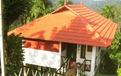 Glenora Homestay - Vaduvanchal - Kalpetta
