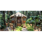 Greenex Farms - Chundale - Kalpetta