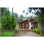 Marmalade Springs - Edapatty - Kalpetta