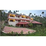 Misty Meadows - Pakkom Vazhavetta - Kalpetta