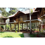 Pepper Green Village - Mananthavady - Kalpetta