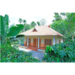 Pollow Rock - Kakkavayal - Kalpetta