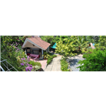 Royal Palm Resort - Wayanad - Kalpetta