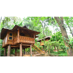 Trekking Trails Eco Lodge - Shanti Nagar - Kalpetta