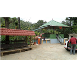 Wayanad Neverland Homestay - Narikundu - Kalpetta