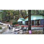 Jungle Resort Retreat - Dhora - Lansdowne
